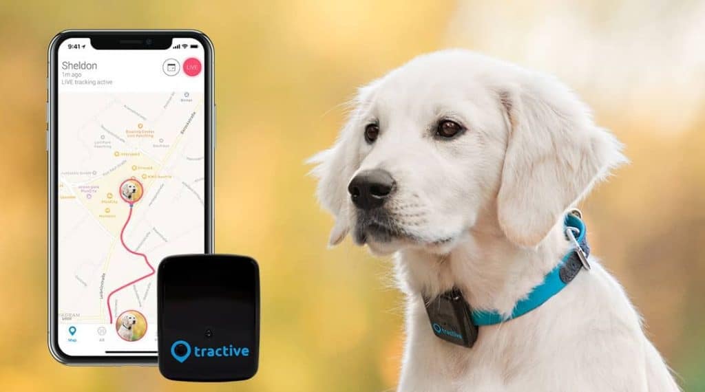 Tractive GPS 3G Pet Tracker Review 2022 Buyers Guide Wear To Track