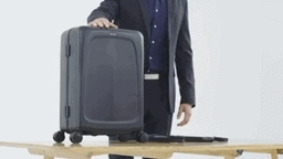 Ovis Smart Suitcase