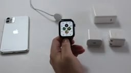 Apple watch overnight online charging