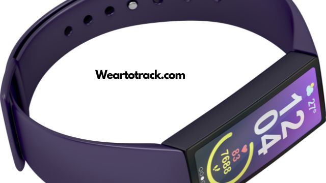 Activity Tracker Watch With A Virtual Pet